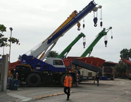 All Terrain and Crawler Telescopic Crane